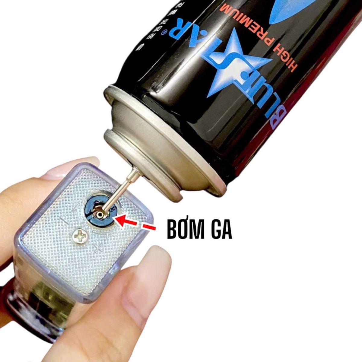 https://batluasile.com/bat-lua-ga-da-dolphin-coi-boc-da-xai-ga