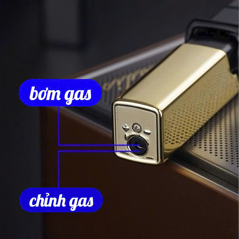 https://batluasile.com/bat-lua-ga-da-dolphin-coi-boc-da-xai-ga