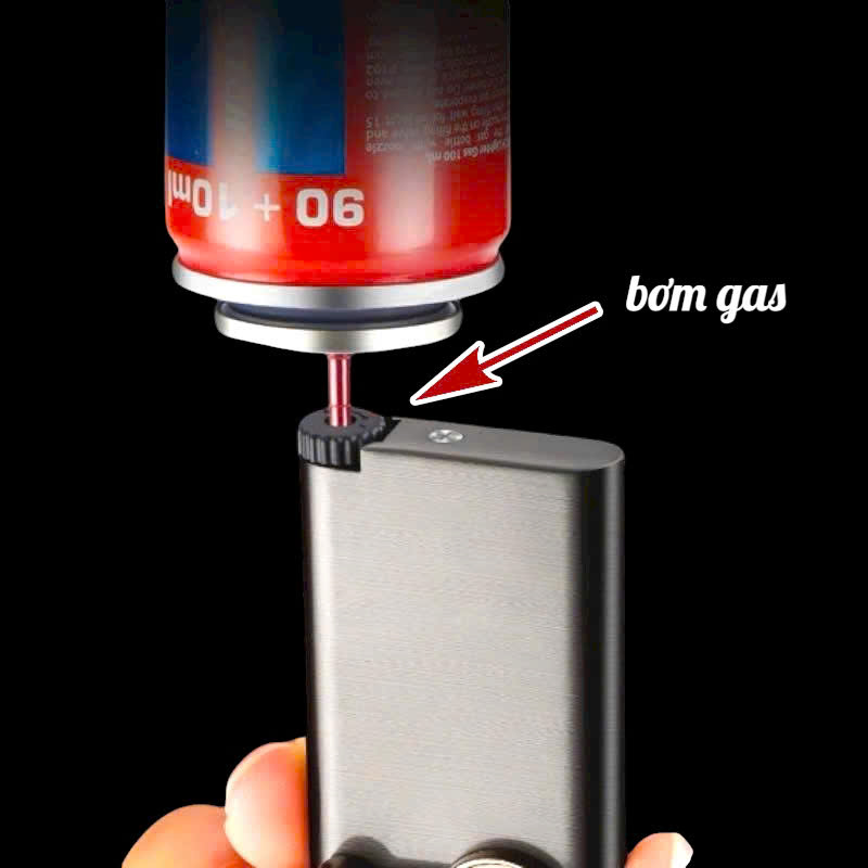 https://batluasile.com/bat-lua-ga-da-dolphin-coi-boc-da-xai-ga